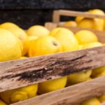 Gebärmutterentfernung - wenn dir das Leben Zitronen gibt